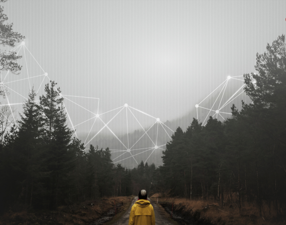 pillars of the digital ecosystem.